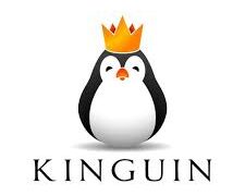 Kinguin Coupons